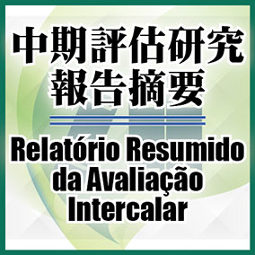 中期評估研究報告摘要