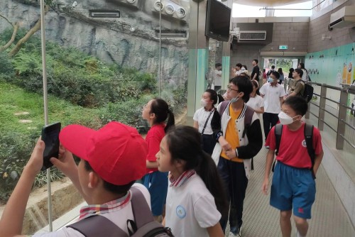 北海市第二实验学校组团来访期间参观熊猫馆