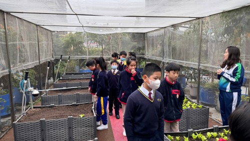 菜農小學生帶領西安新知小學同學參觀天台生物園