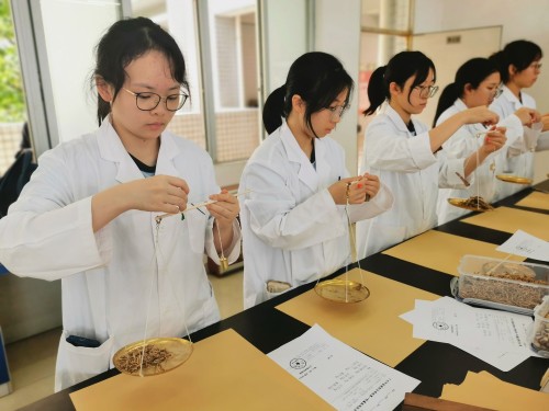 尝试按方称量药物剂量